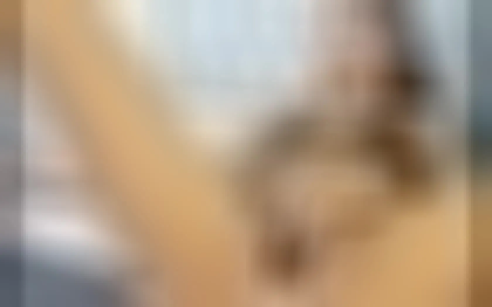 Darsteller diosaafrodita202 Video 1