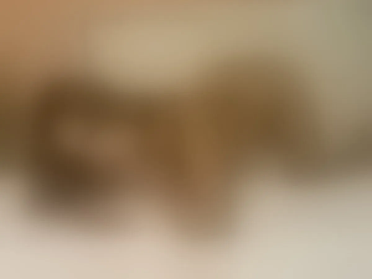 AliciaBanderas profielfoto van cam model