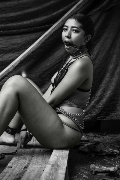 Utøver JENNAHARPERR Bilde 9