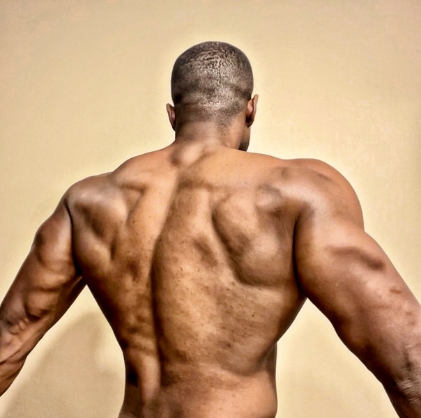 Interprète Jackedrasta Photo 8