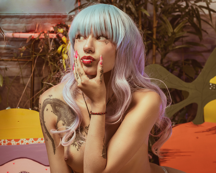 Interprète zilefvibre Photo 9