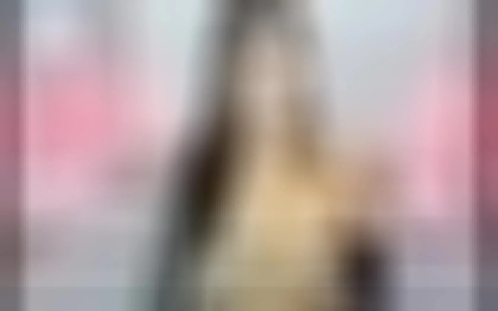 Interprète Allisoonmillerr Vidéo 1