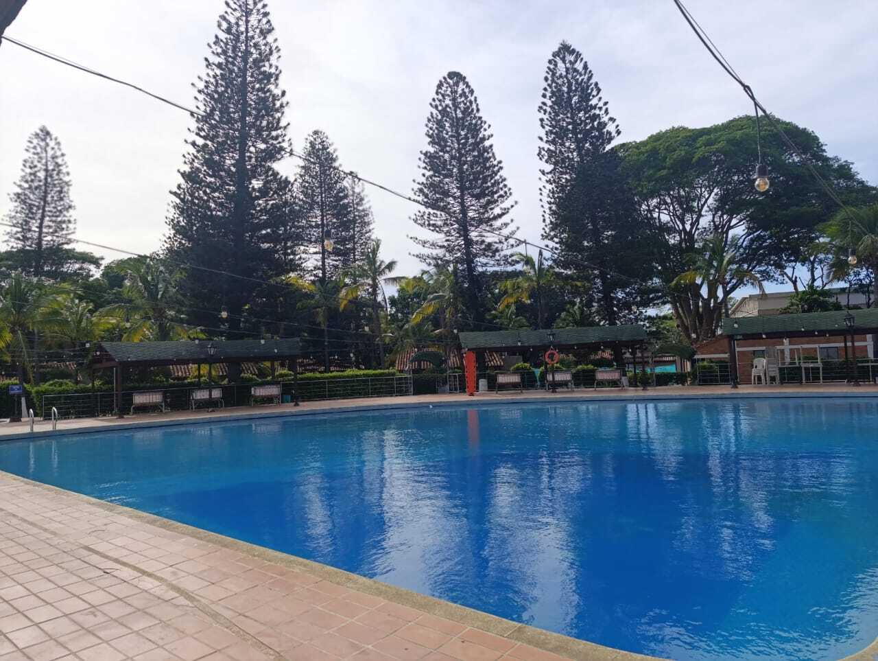 Performer AironBlade Photo 2