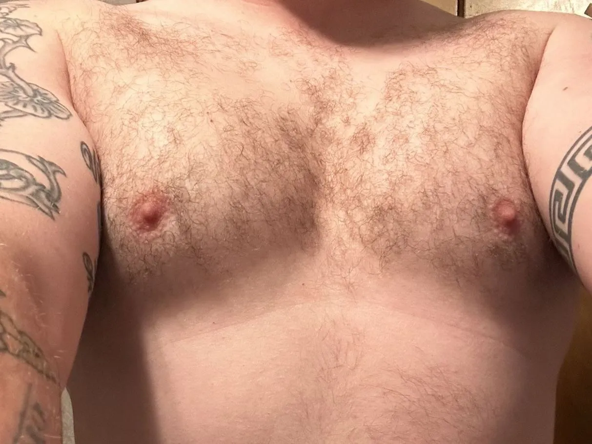 Zenn0969 profilbild på webbkameramodell