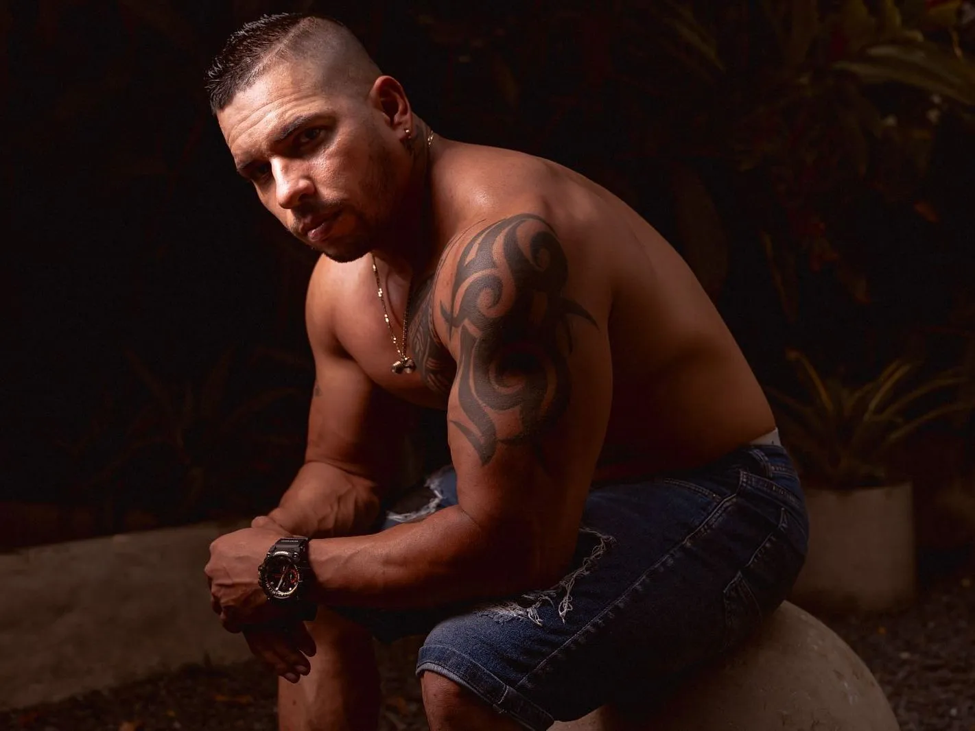 Foto de perfil de modelo de webcam de JayRichards