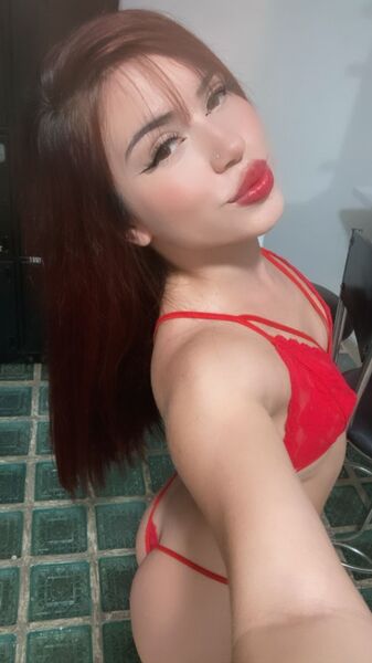 Intérprete ShopiaRabbit Foto 8