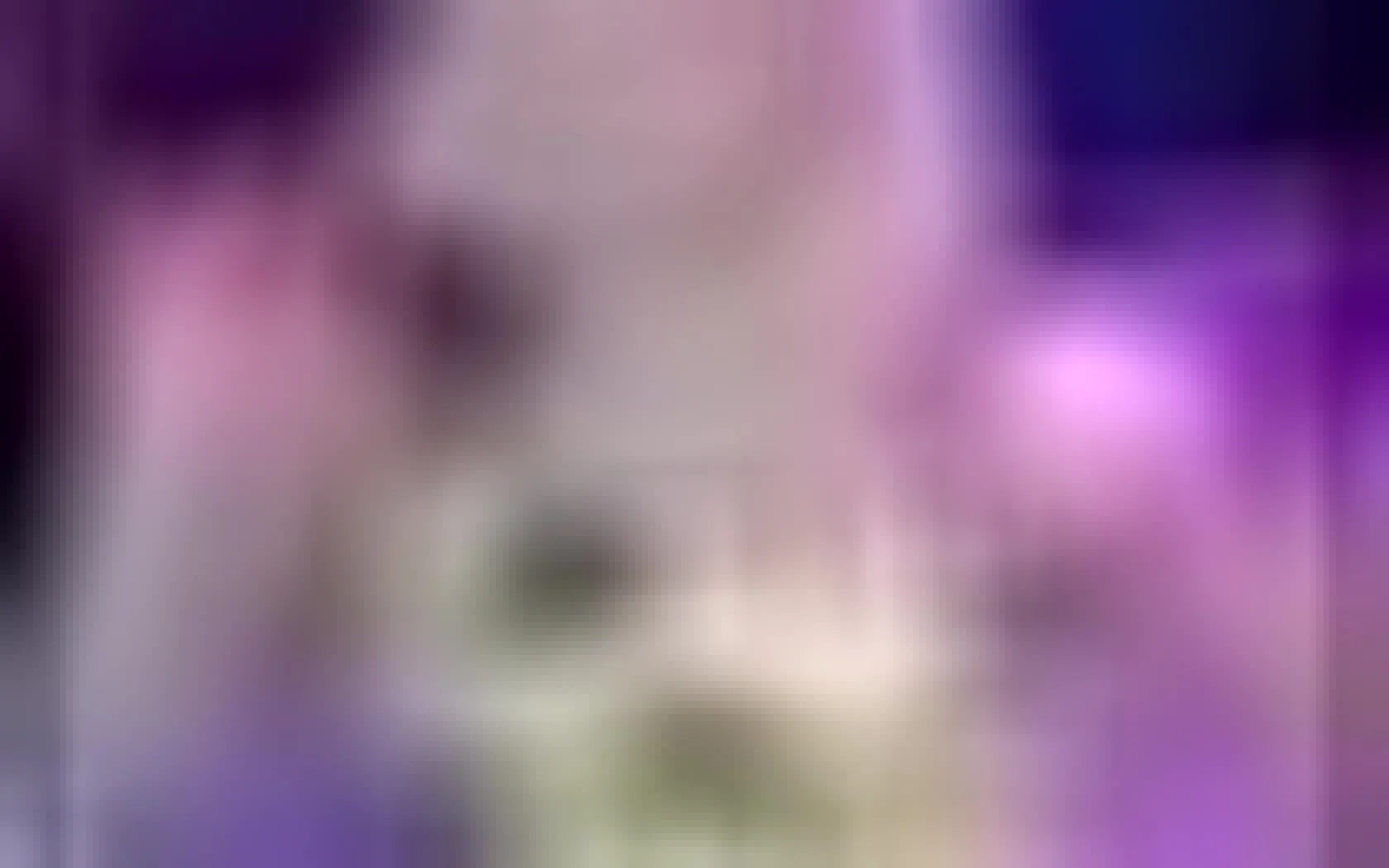 Interprète LolaMinajxo Vidéo 1