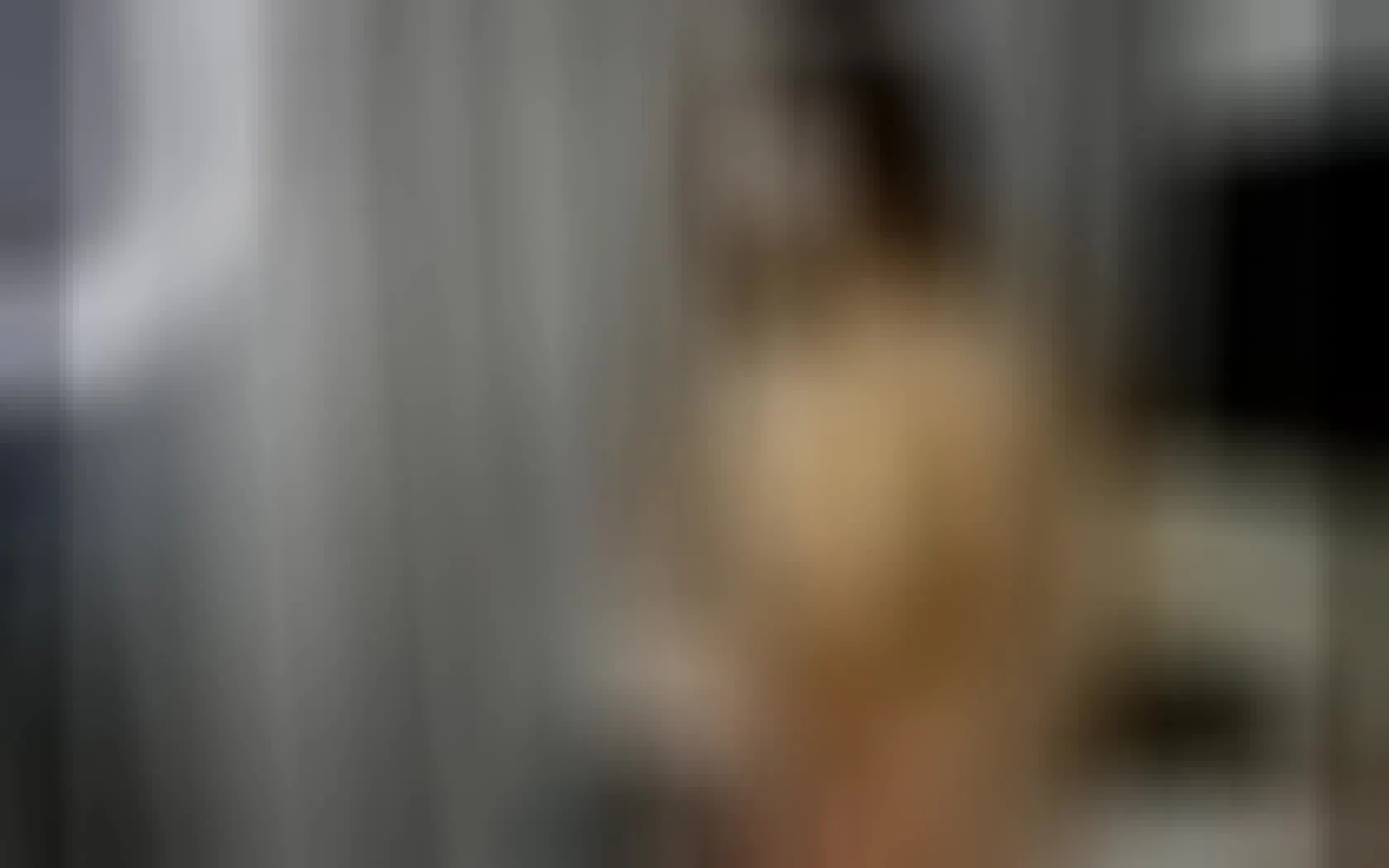 Interprete MeganPradaxxx Video 1