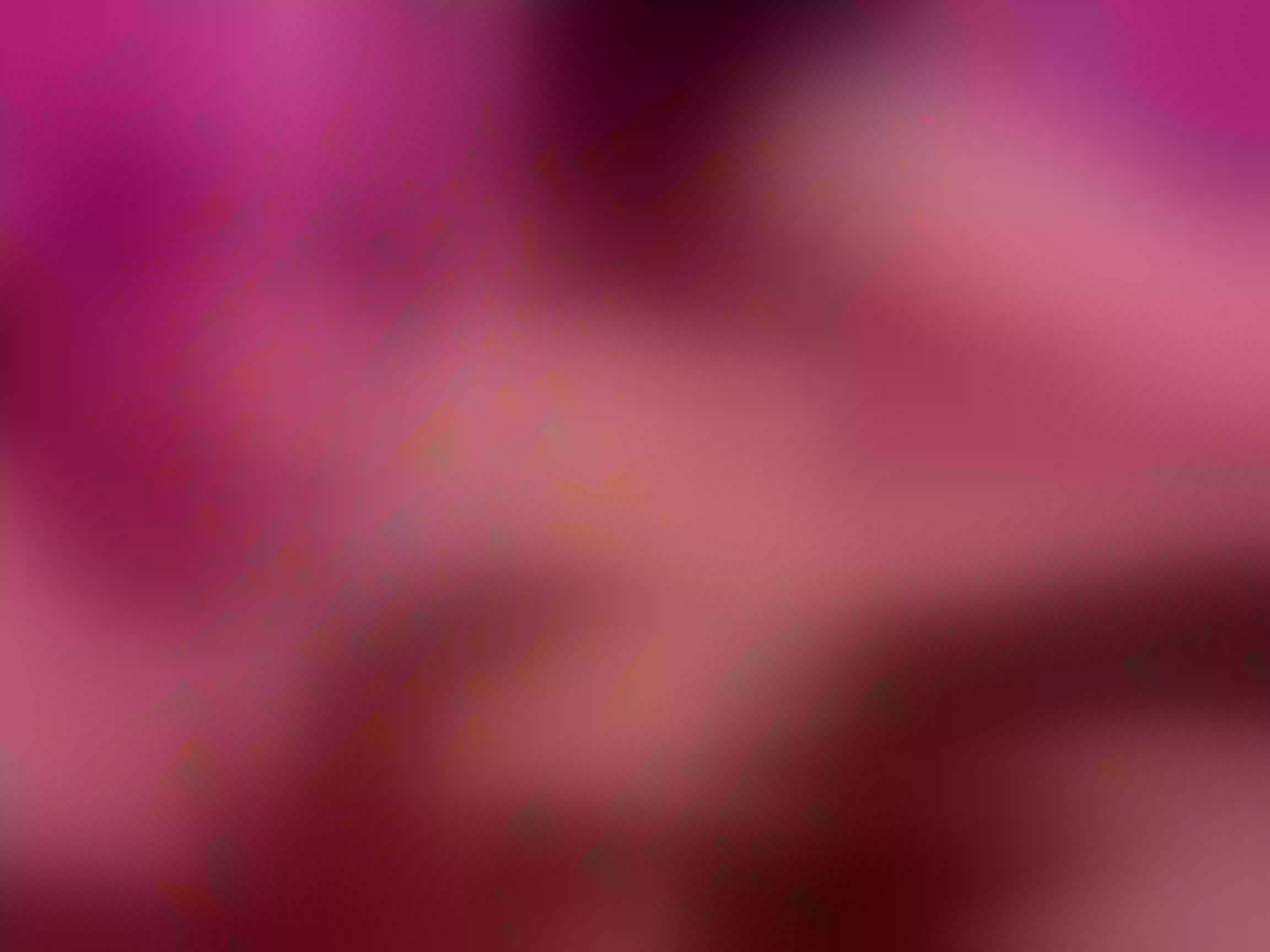 VennusS18 Profilbild des Cam-Modells
