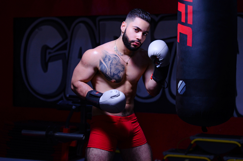 Artista Loganbeker Foto 4