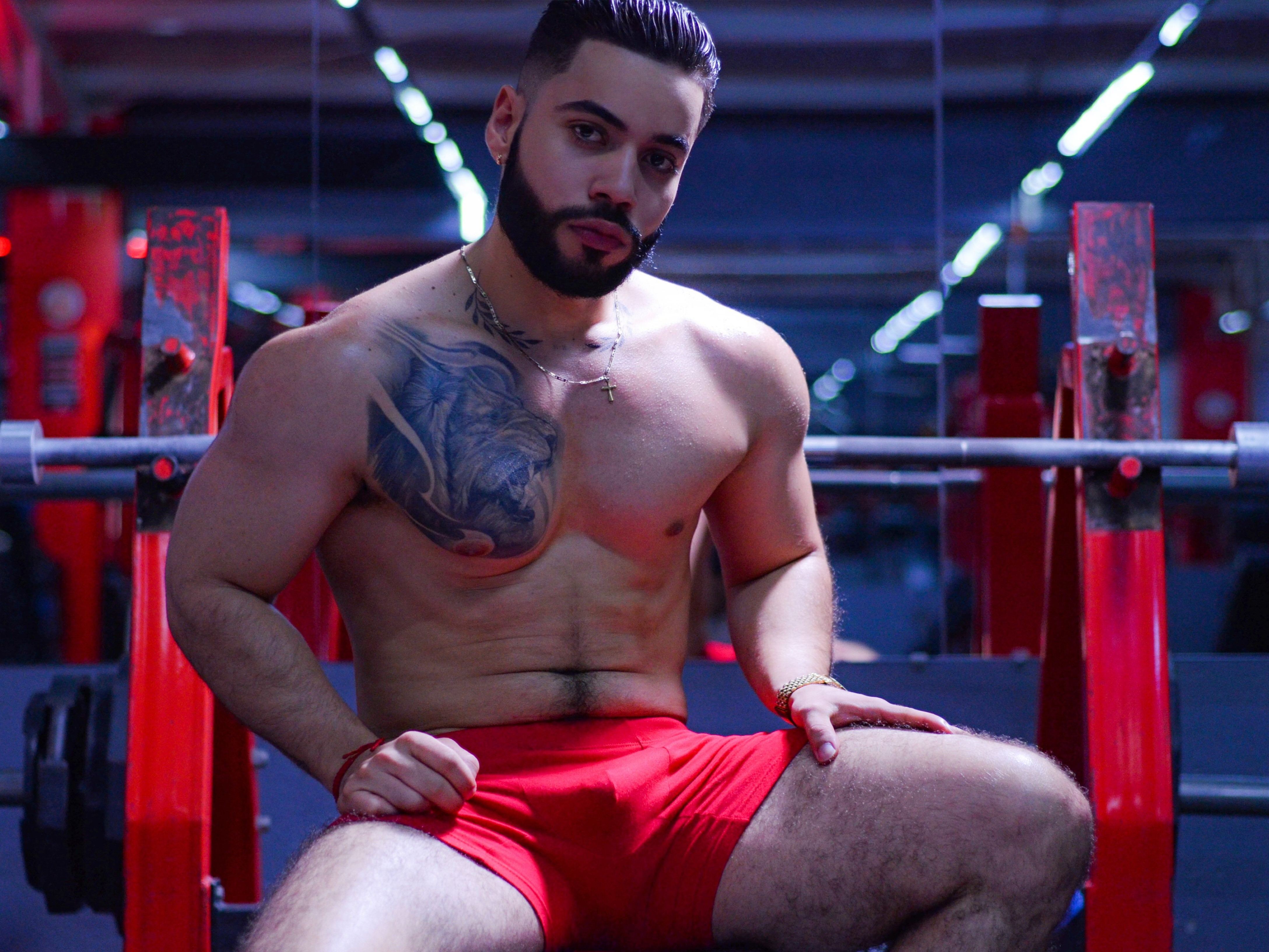 Loganbeker Profilbild des Cam-Modells