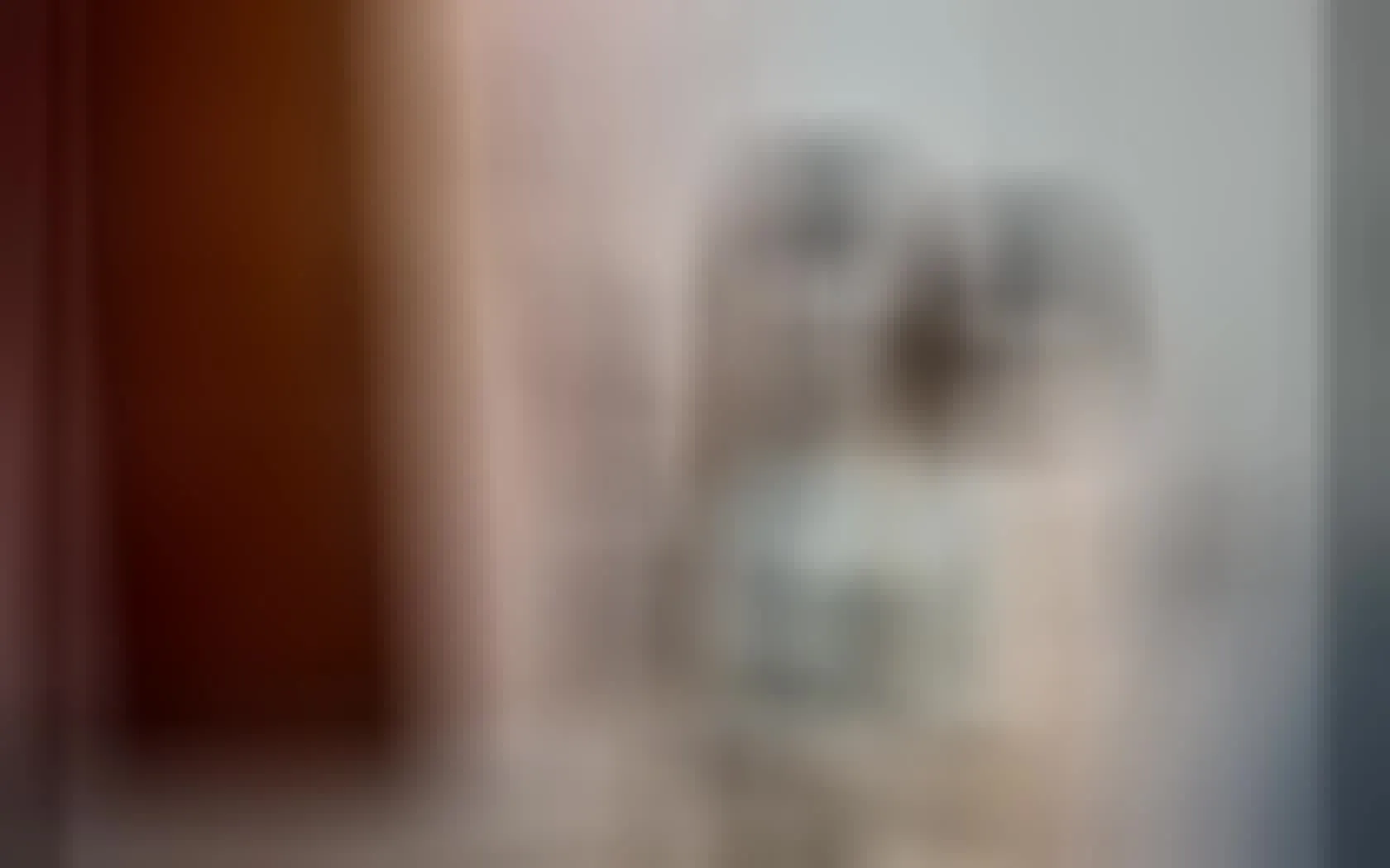 Intérprete Emilyfd Video 1