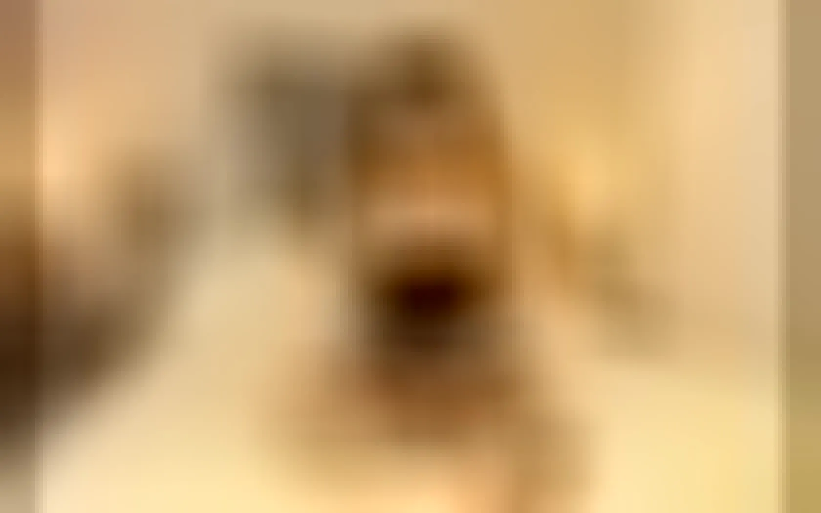 Artiest YasmynDevi Video 1