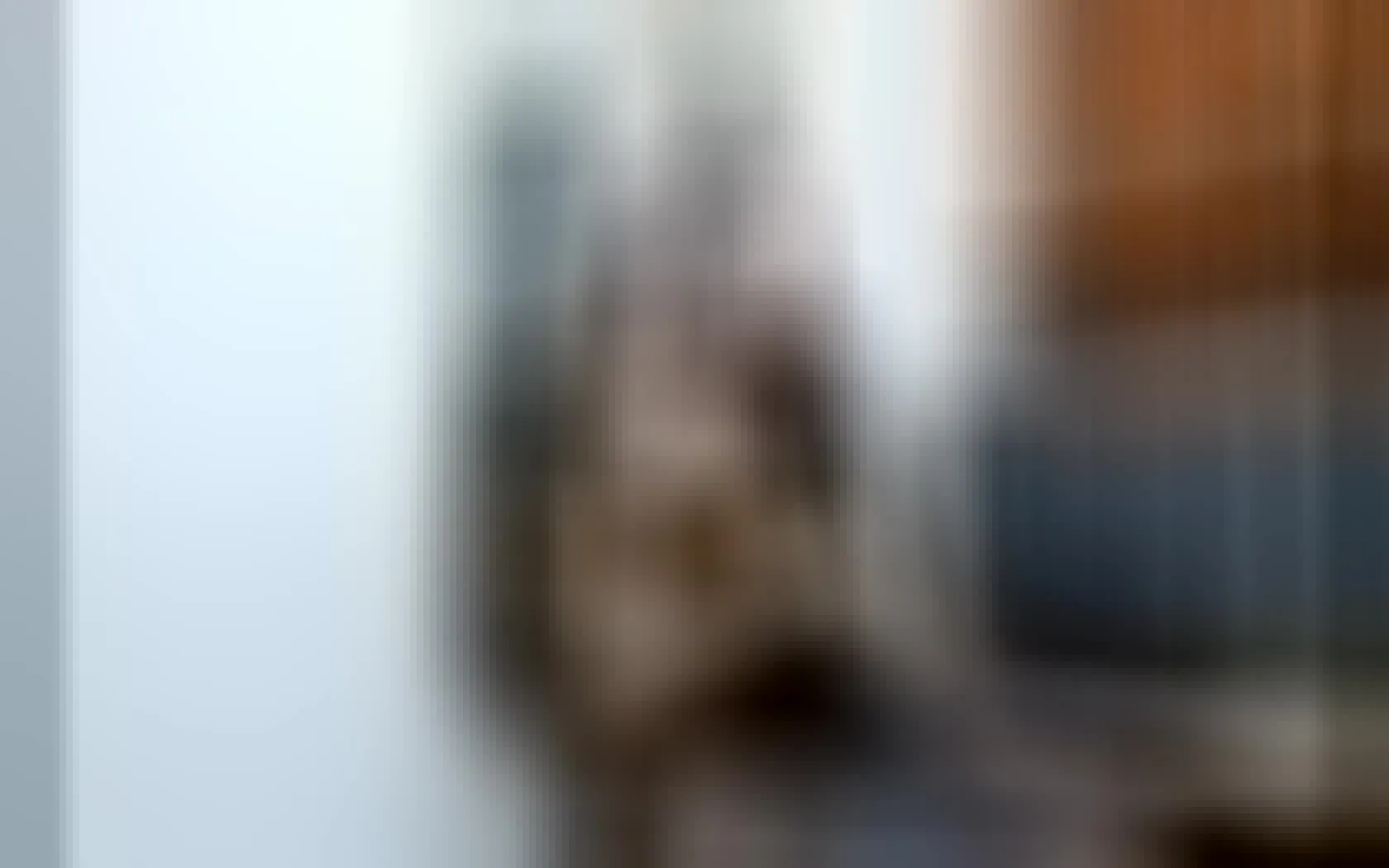 Interprète MalaikahColette Vidéo 1