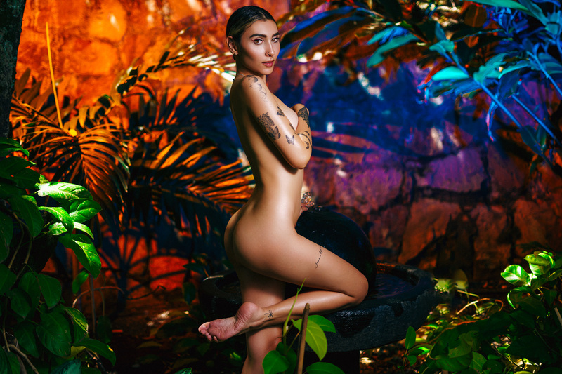 Artista EvelynBarker Foto 1