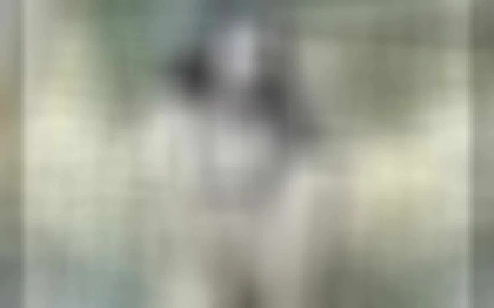 Intérprete WenStacy Video 1