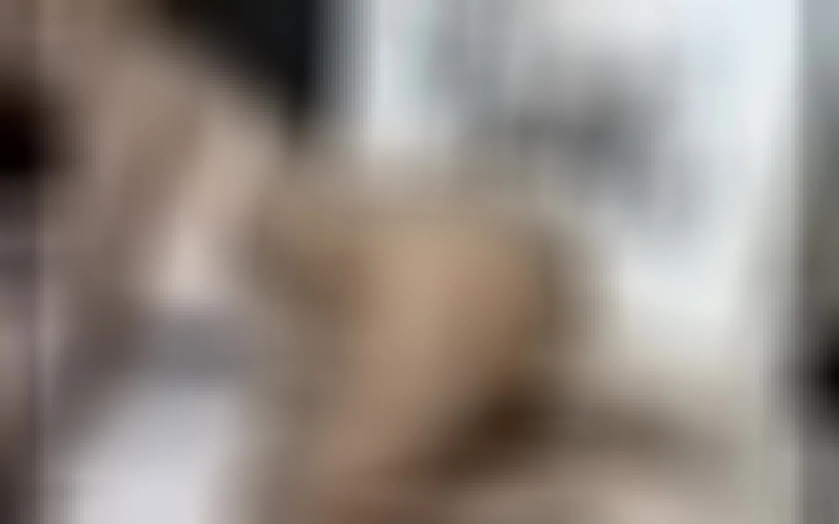 Artiest DinnyDiamond Video 1