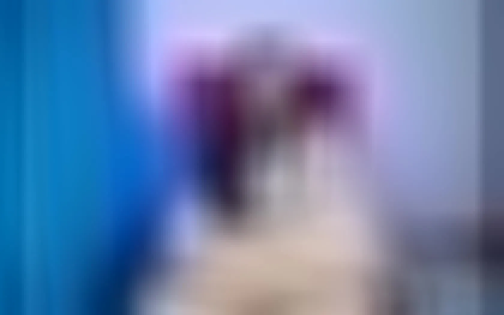 Utøver catalinaswitt Video 1