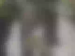 pleasedomindme immagine del profilo del modello di cam