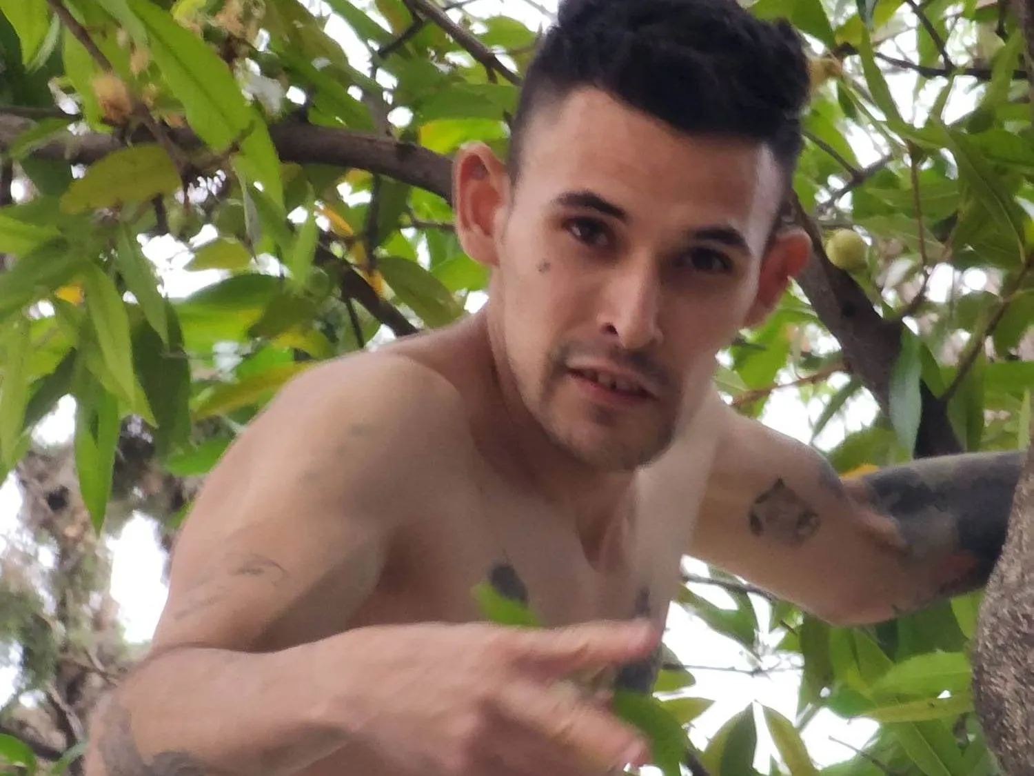 Elterrible95 profilbild på webbkameramodell