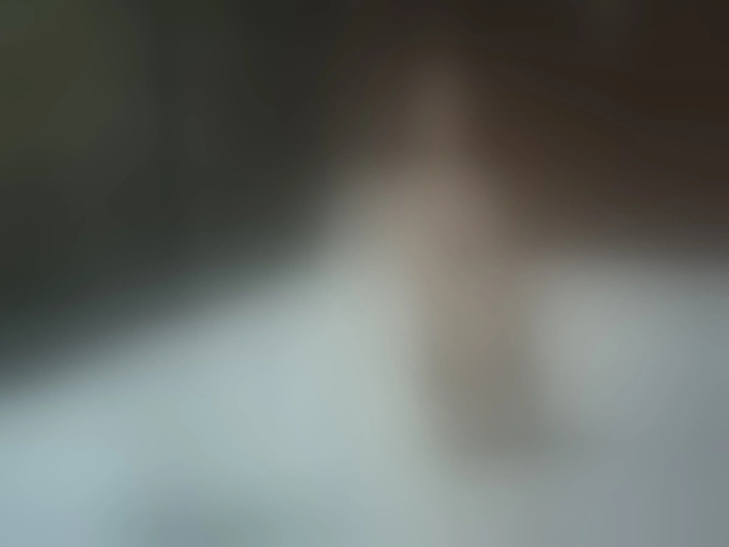 artehebe immagine del profilo del modello di cam