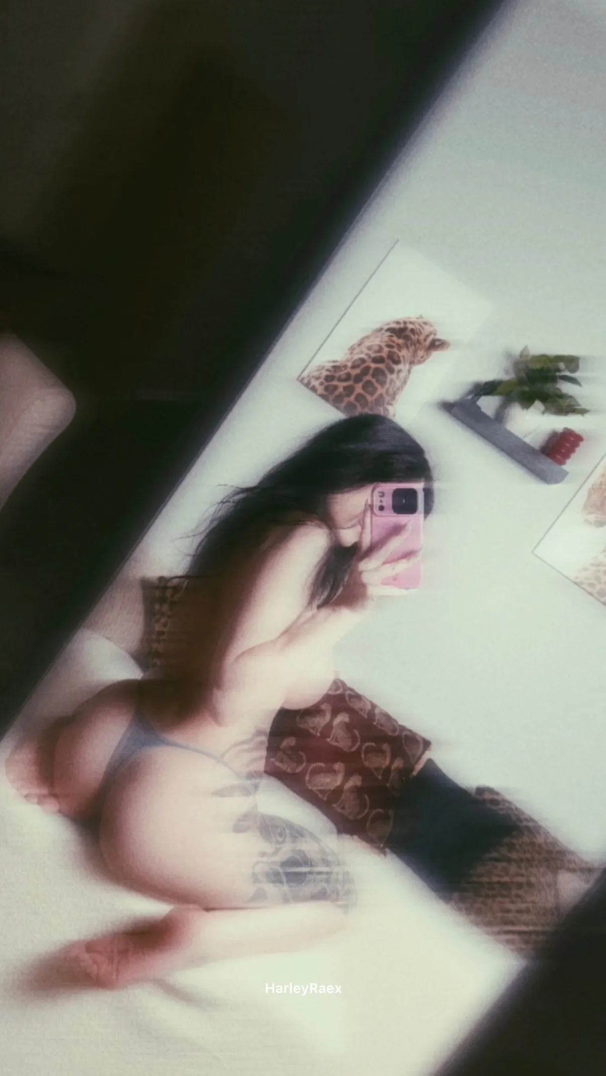 Utøver HarleyRaex Bilde 4