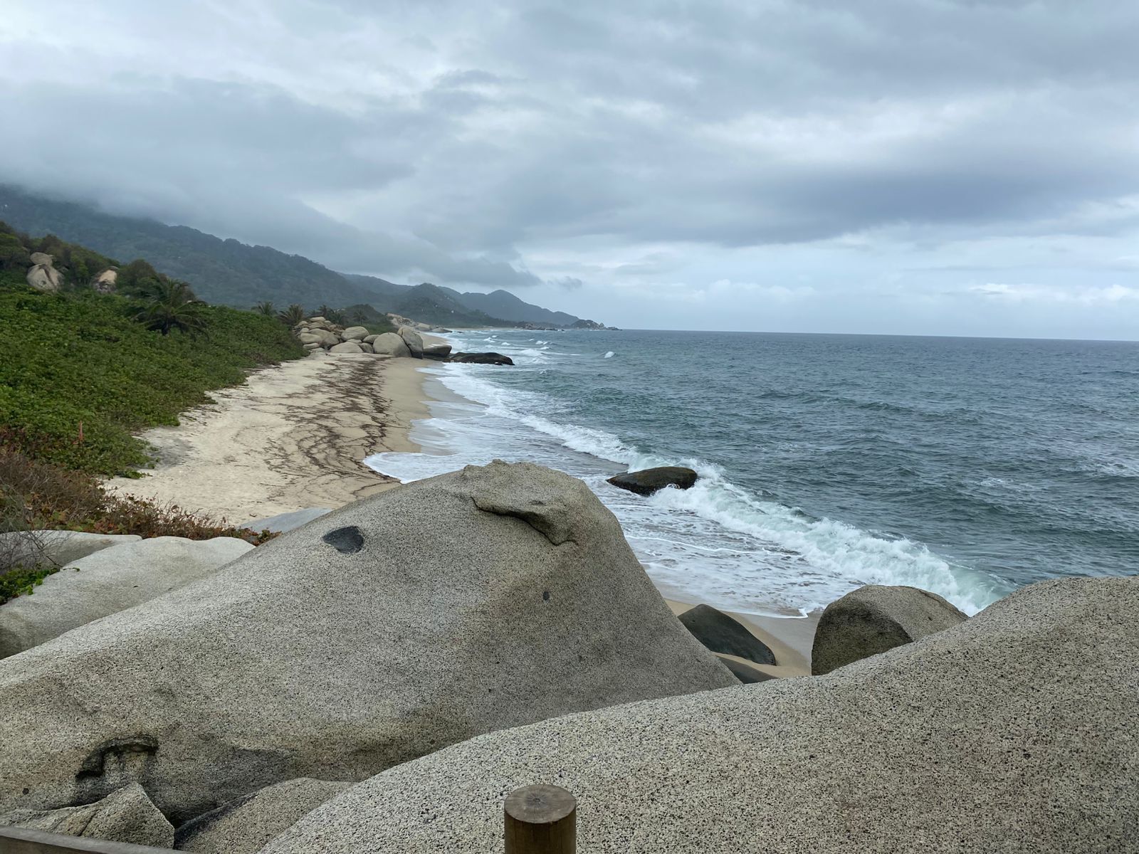 Darsteller Tyralewiz Foto 1