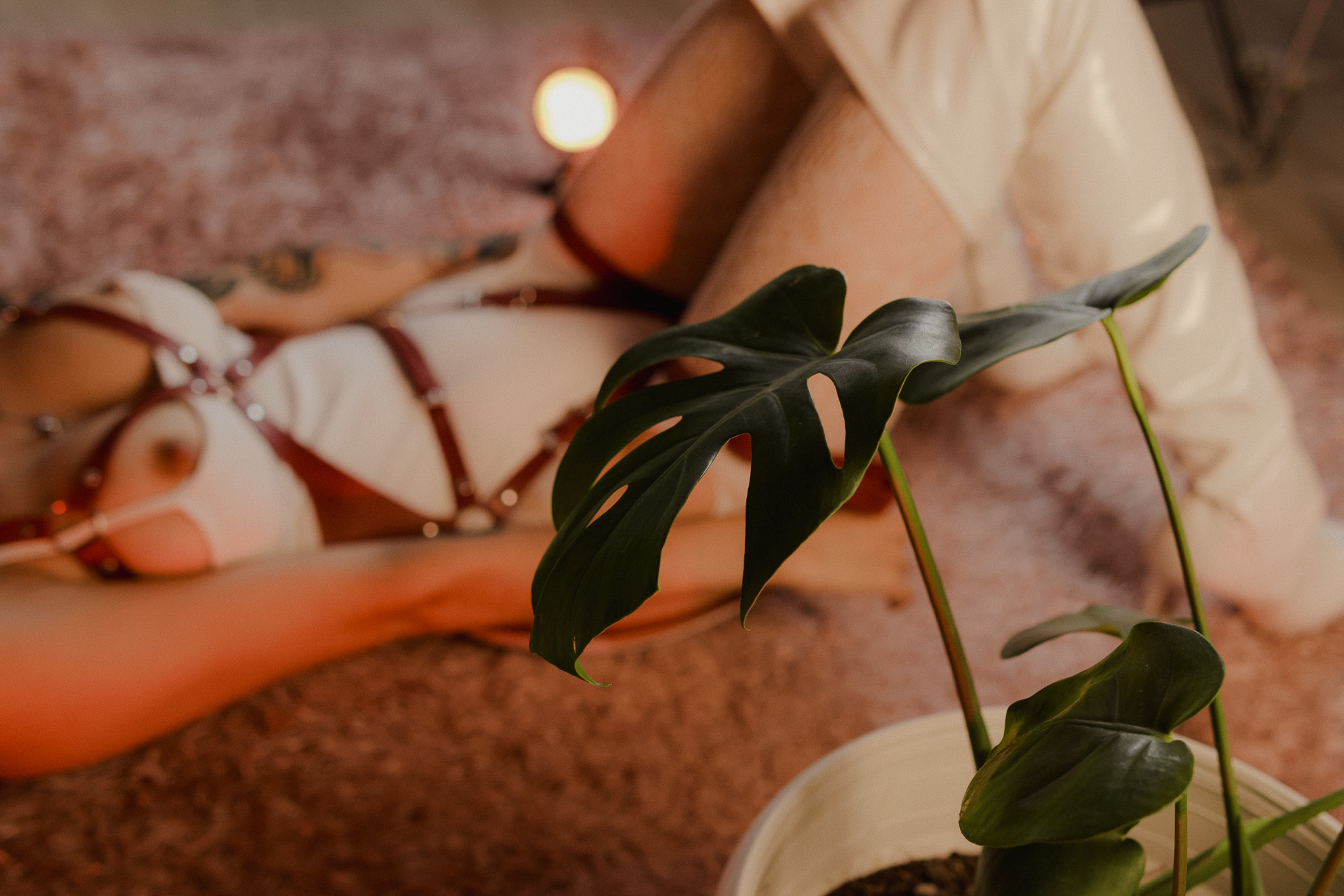 Artist Halistone18 Foto 5