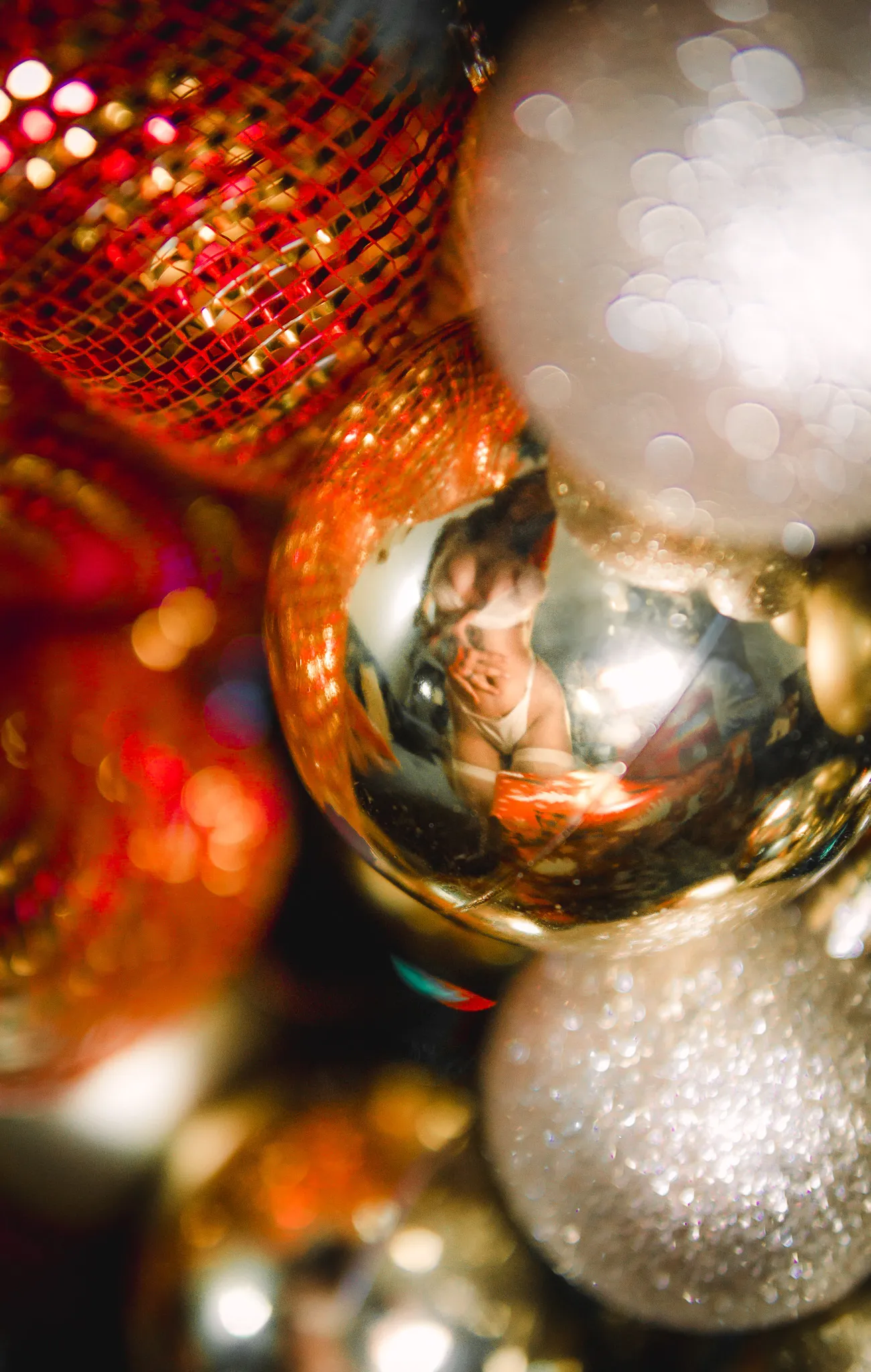 Intérprete Halistone18 Foto 12