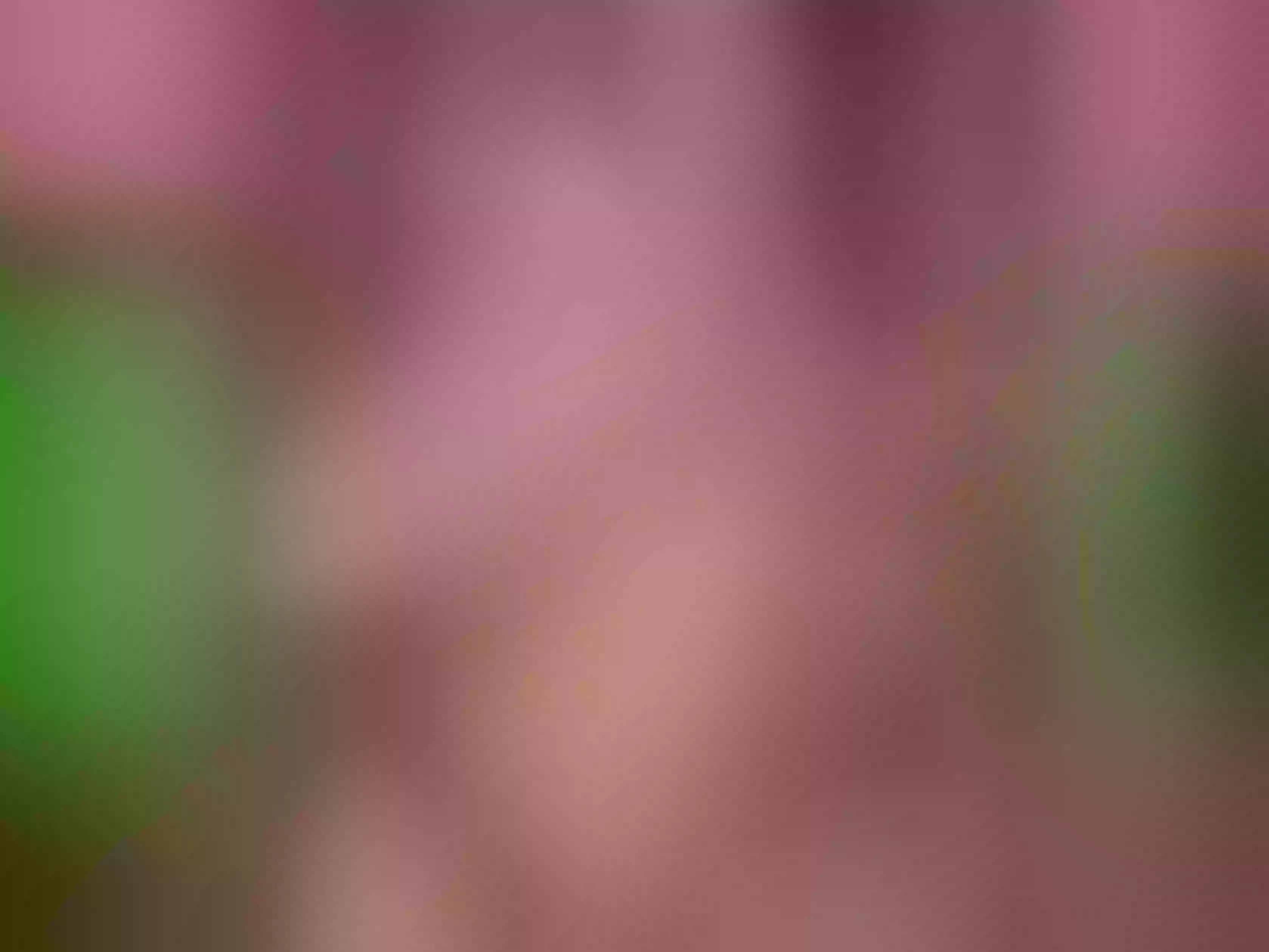 Image de profil du modèle de webcam EvaRitzx