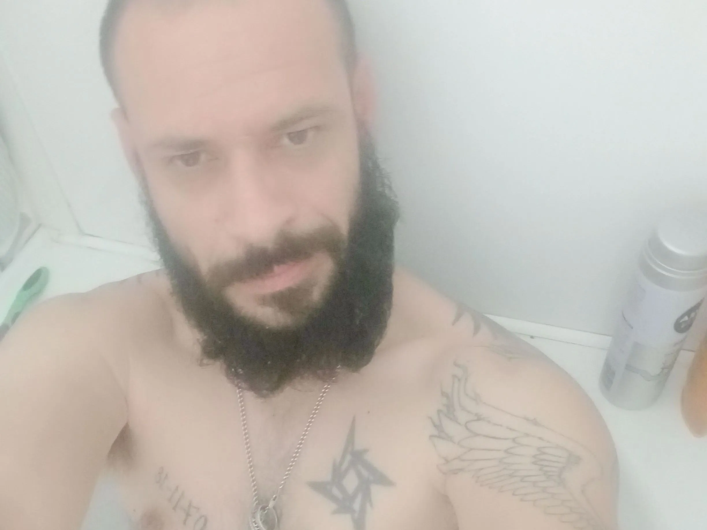 Foto de perfil de modelo de webcam de BamBammer
