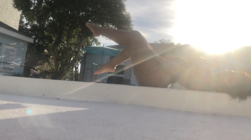 Artist Adelina444 Foto 5