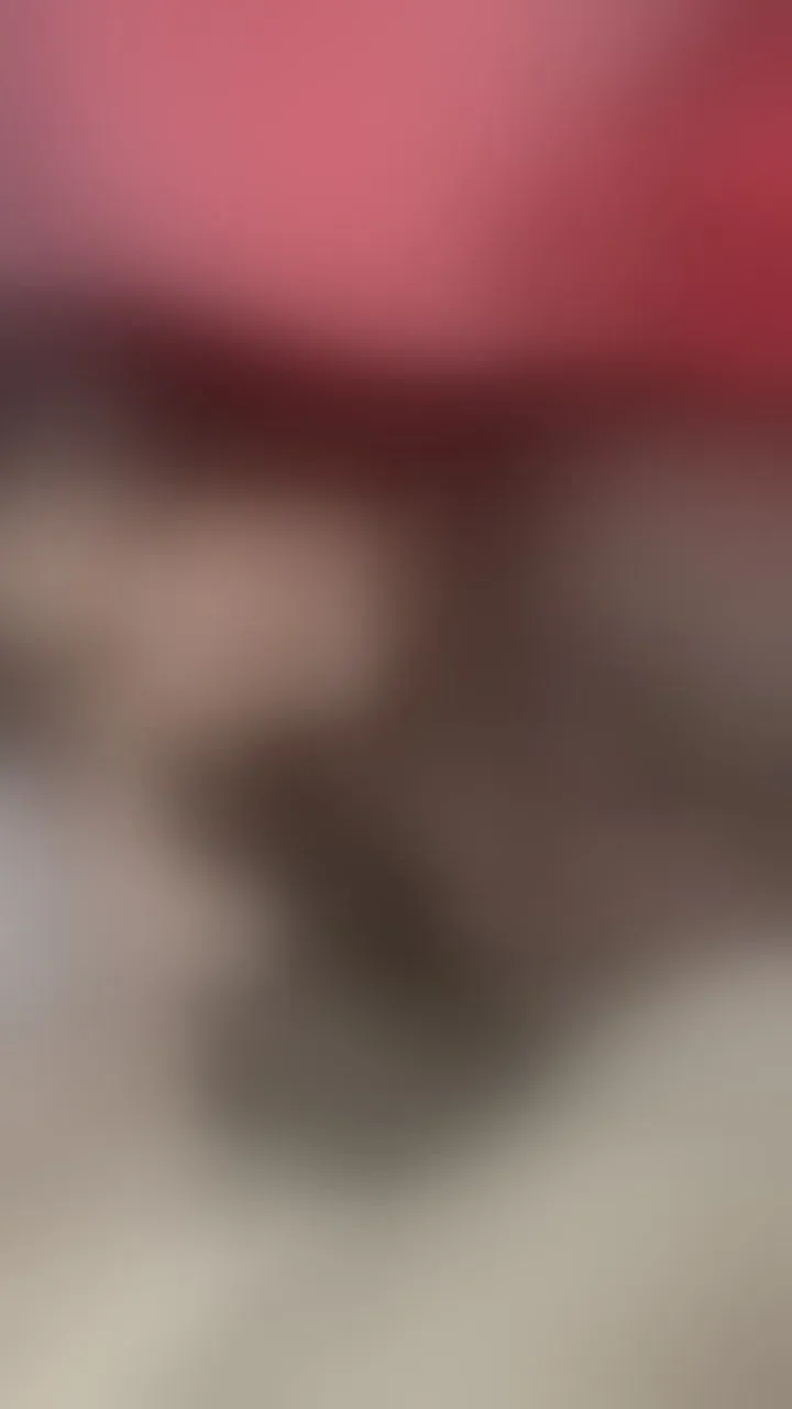 Artiest Luciilu Foto 1