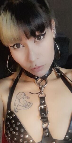 Darsteller Videlvlad Foto 4