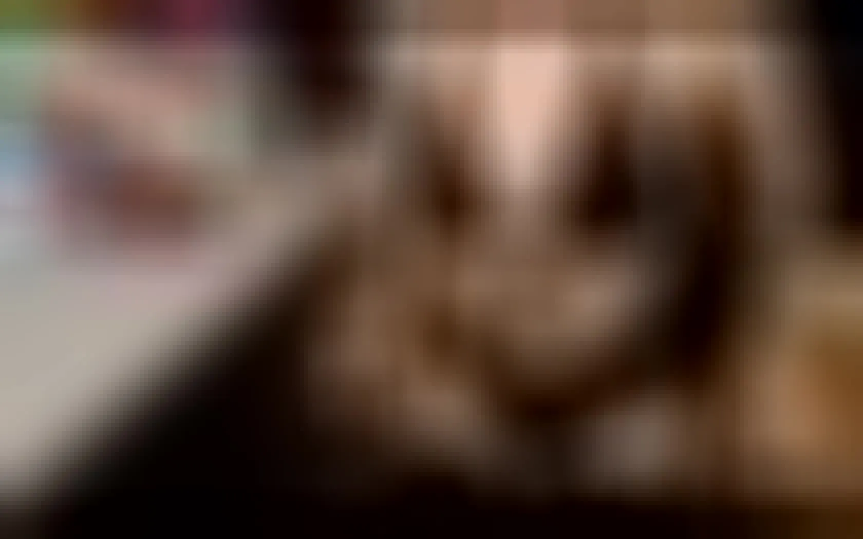 Interprete ScarletteMoonXO Video 1