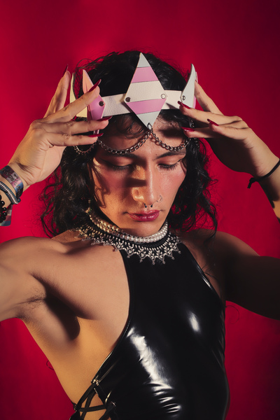 Interprète ZafiroRoss Photo 6