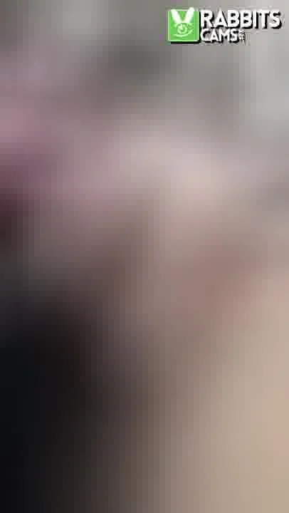 Artist Evarabbit Video 4