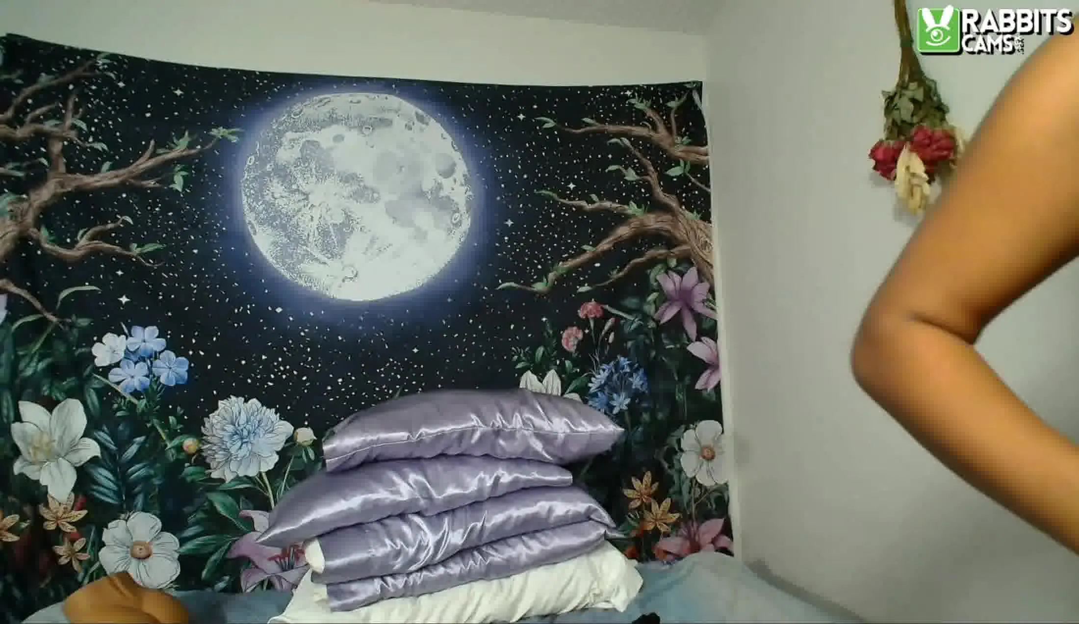 Interprète RobinTheSiren Vidéo 1