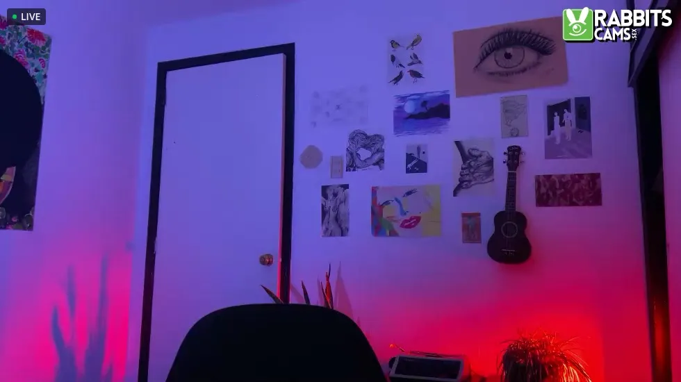 Artista CamilleDelRey Video 1