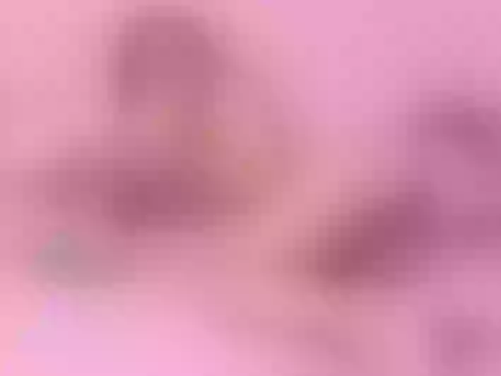 SayuryWolf Profilbild des Cam-Modells