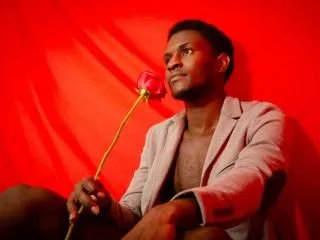 Image de profil du modèle de webcam RafaelLatins