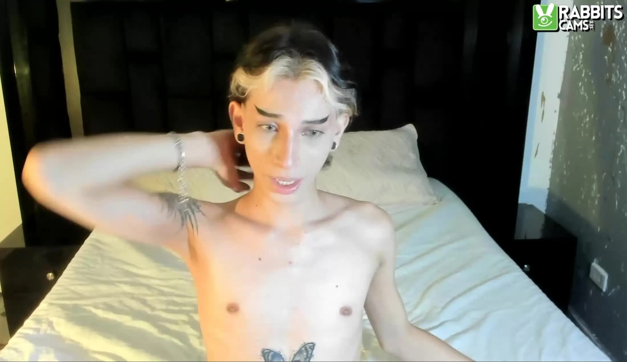 Intérprete AndyWills Video 2