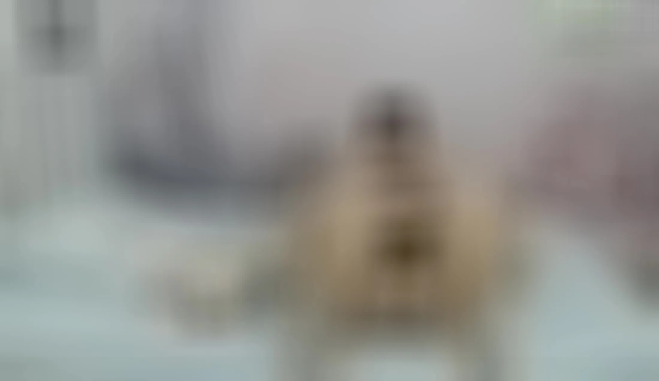 Interprete SahoorySeven Video 2