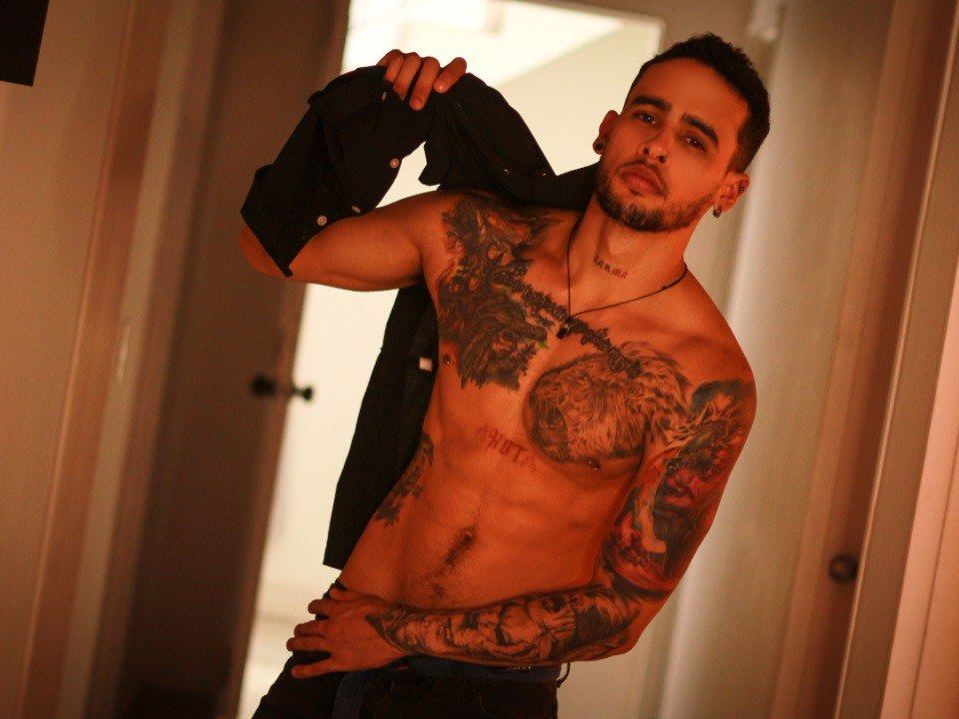 Foto de perfil de modelo de webcam de SethJhonson