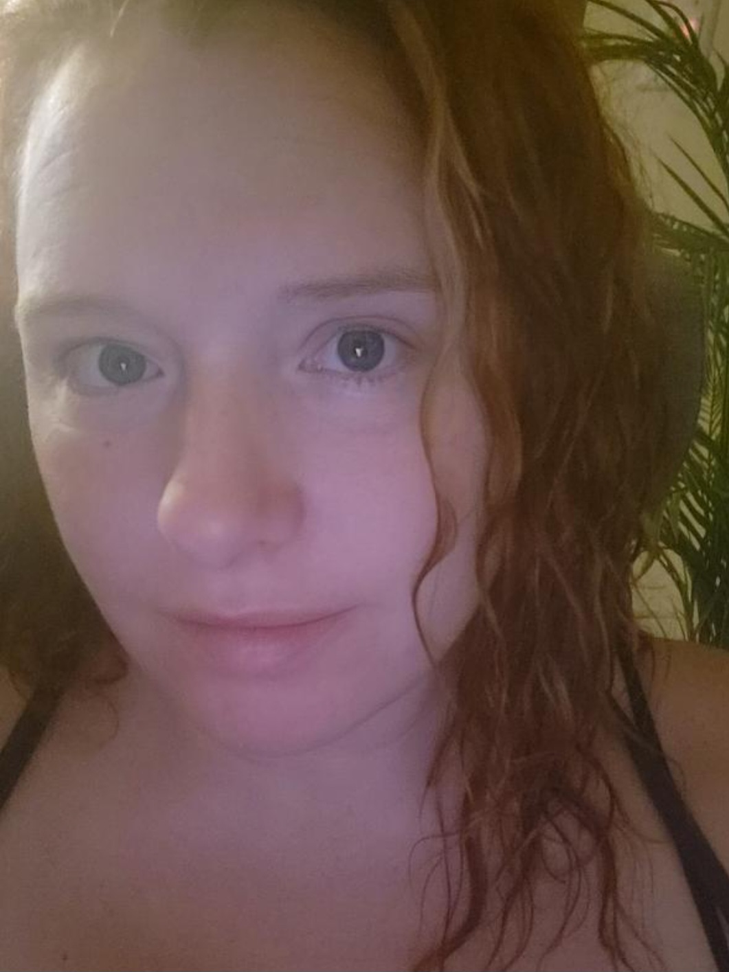 Artiest Gingersnapgem Foto 4