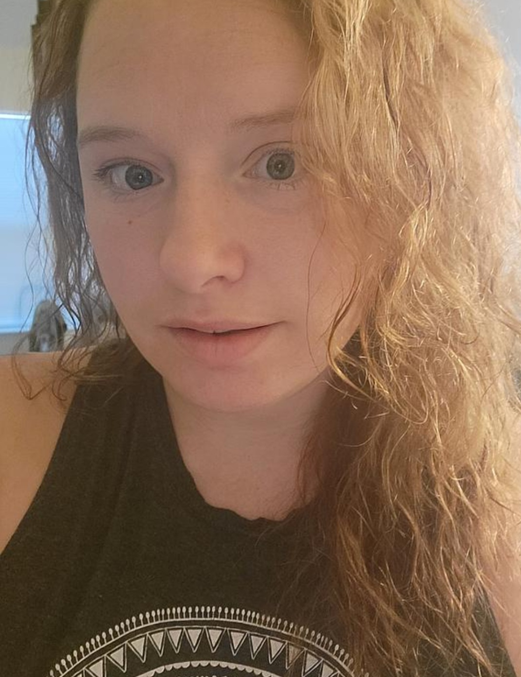 Artiest Gingersnapgem Foto 2