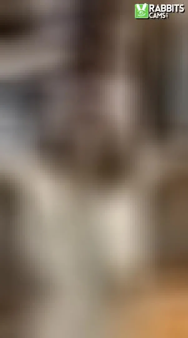Darsteller AnaRuseltt Video 3
