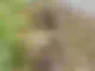 Foto de perfil de modelo de webcam de KristennBell