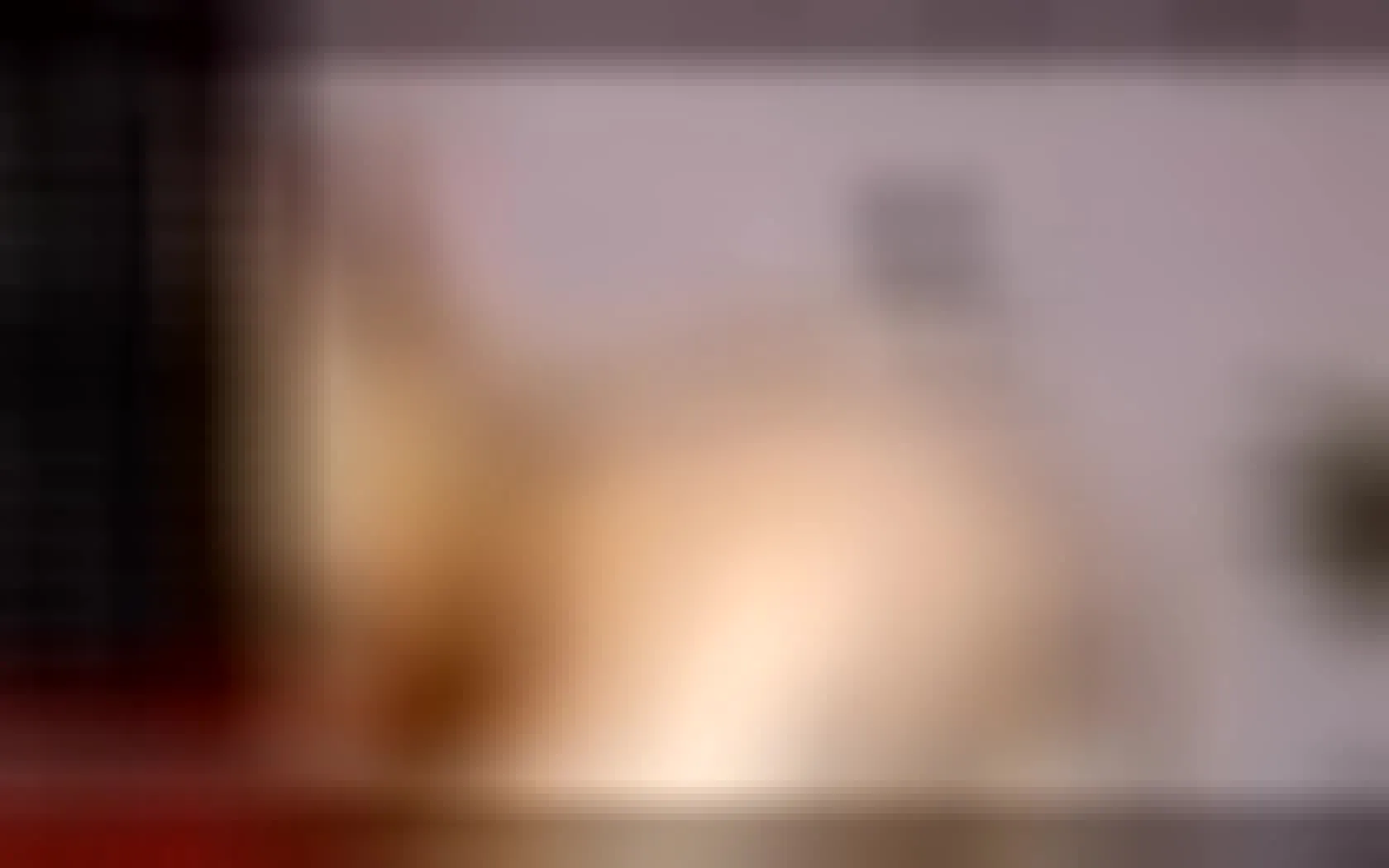 Artiest Hallybekker Video 1