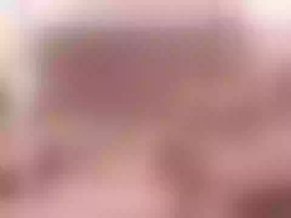 VidiaWM immagine del profilo del modello di cam
